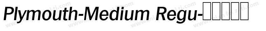 Plymouth-Medium Regu字体转换